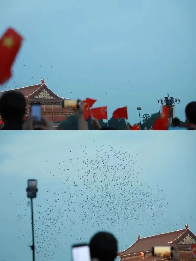 571c6ffee0f946d4ba791bb421d296c1.png 图片4.png
